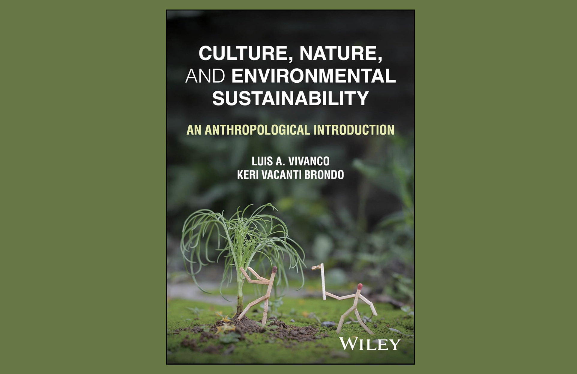 Book cover for 